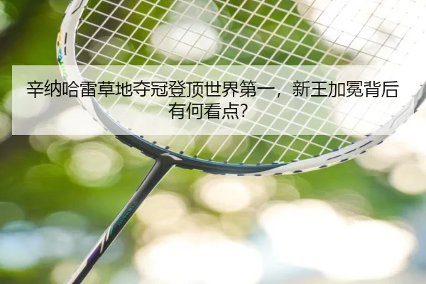 辛纳哈雷草地夺冠登顶世界第一，新王加冕背后有何看点？
